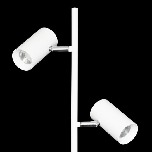 Торшер Citilux Twin CL809010N