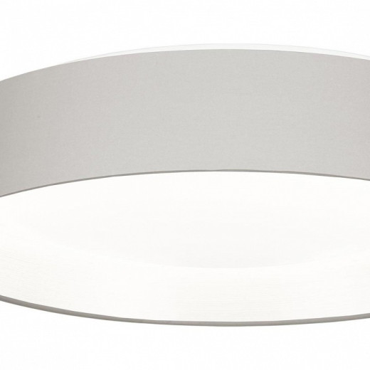 Накладной светильник EVOLUCE Brescia SLE300512-01