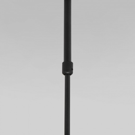 Светильник на штанге Eurosvet Pacific 50255/1 черный