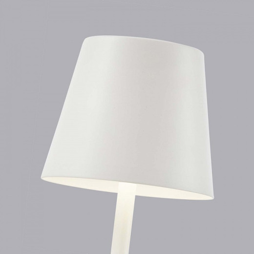 Настольная лампа декоративная F-promo Pyari 4614-1T