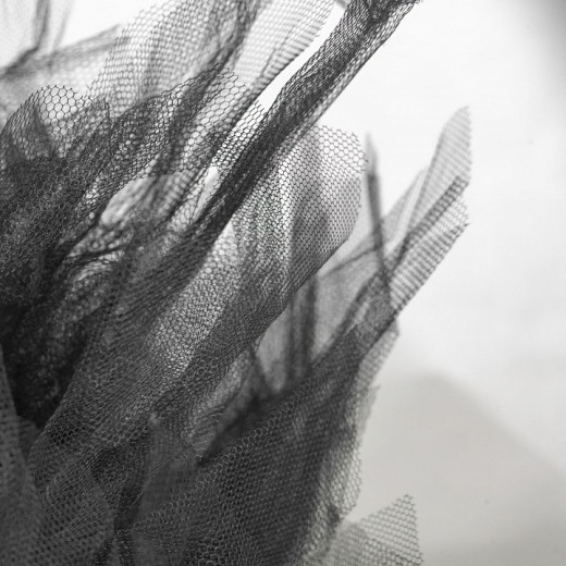 Накладной светильник Lussole Clarksville GRLSP-8727