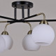 Потолочная люстра ILLUMICO  IL0252-6CSQ-79 BK AB
