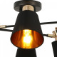Люстра на штанге ILLUMICO Abelie IL6116-6COU-79 BK GD Abelie