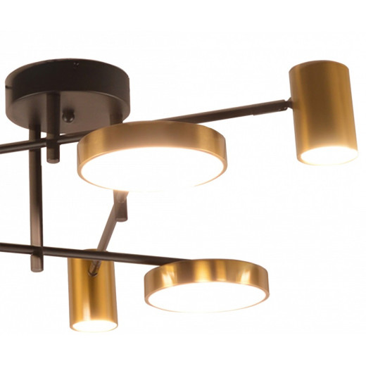 Потолочная люстра Kink Light Рапис 07645-6D,19(20)