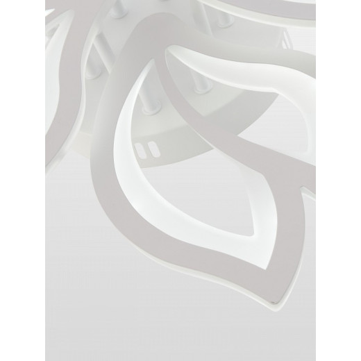 Потолочная люстра Natali Kovaltseva FORTUNA LED LAMPS 81107/6C