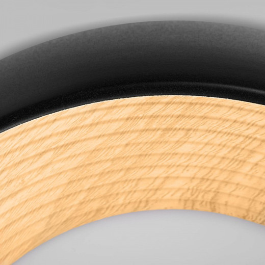 Накладной светильник Loft it Folk 10255/350 Black