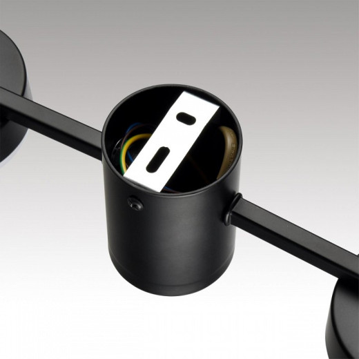 Накладной светильник Lumion Sanata 8187/4C