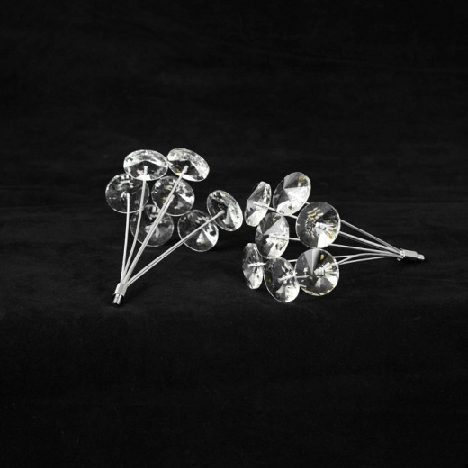 Накладной светильник Lussole Alaska LSP-8951