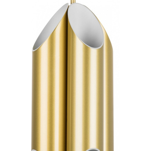 Люстра на штанге Lightstar Siena 720082