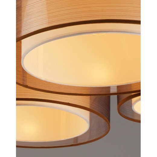 Потолочная люстра Moderli Room V10624-5C