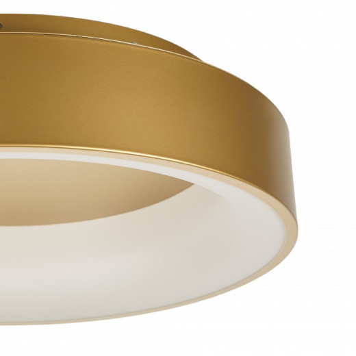 Накладной светильник MyFar Shannon MR2195-1PL