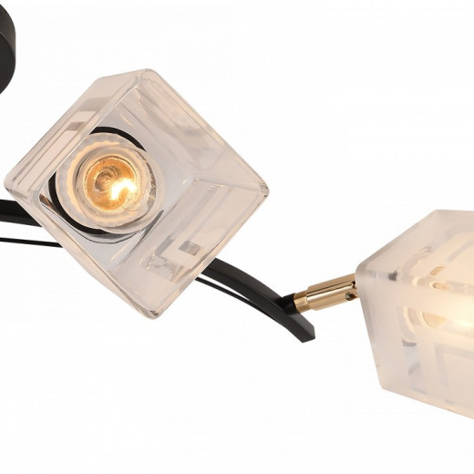 Люстра на штанге 01594-3.3-04B BK+FGD