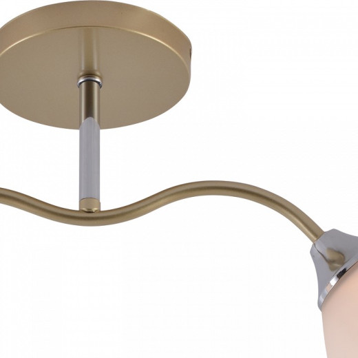 Светильник на штанге 01643-0.3-02 GOLD+CR