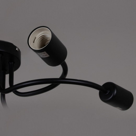 Потолочная люстра 01742-0.3-06 BK