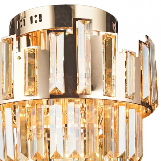 Потолочная люстра 01973-0.3-5+4