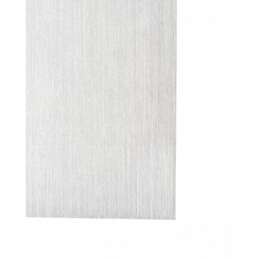 Накладной светильник Vele Luce Сarica VL8273W21