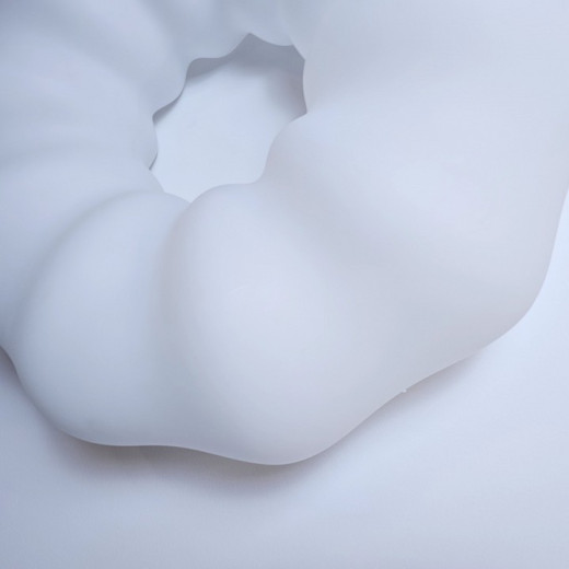 Накладной светильник Zortes Soft ZRS.1118.4