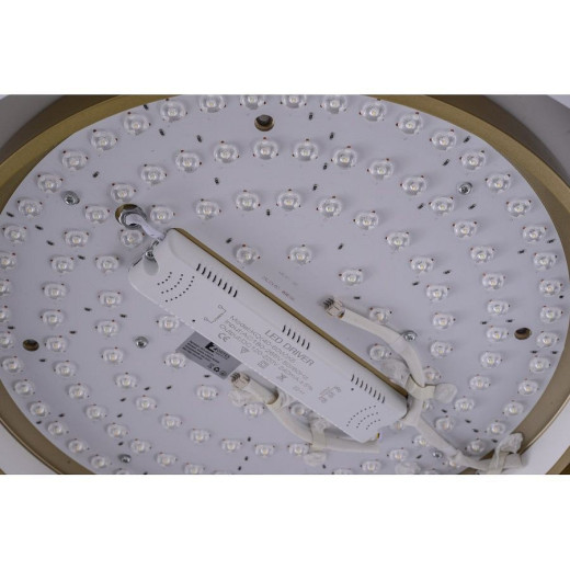 Накладной светильник Zortes Adel ZRS.1200.01