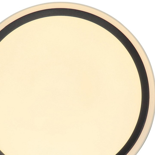 Накладной светильник Zortes Bella ZRS.1201.04