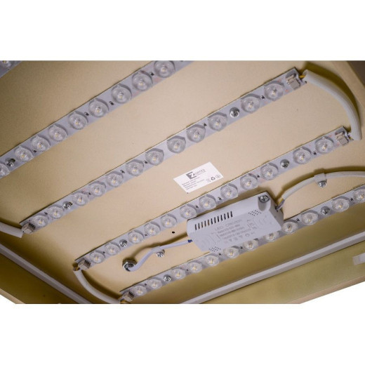 Накладной светильник Zortes Gabby ZRS.1215.03