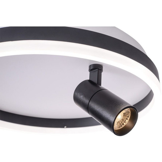 Накладной светильник Zortes Raizy ZRS.1888.03