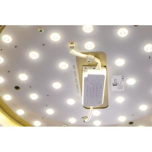 Накладной светильник Zortes Gabby ZRS.90610.40