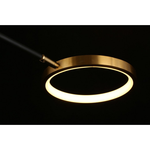 Потолочная люстра Aployt Ines APL.043.07.65