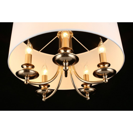 Подвесной светильник Aployt Berze APL.721.06.05