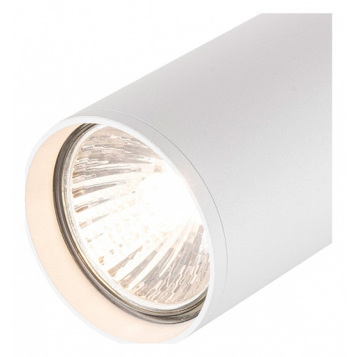 Светильник на штанге Escada 20001 20001TRA/01 SWH