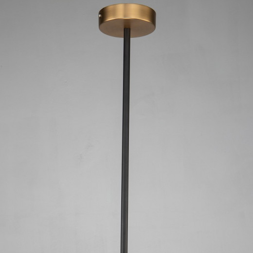 Подвесной светильник Favourite Roshe 2624-1P