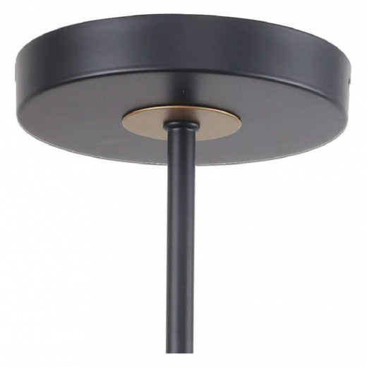 Люстра на штанге F-promo Rigor 2844-8P