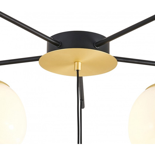 Потолочная люстра Favourite Paramount 3047-6P