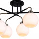 Потолочная люстра ILLUMICO  IL0252-6CSQ-79 BK AB