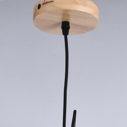 Подвесной светильник ILLUMICO  IL1011-1P-05 BK