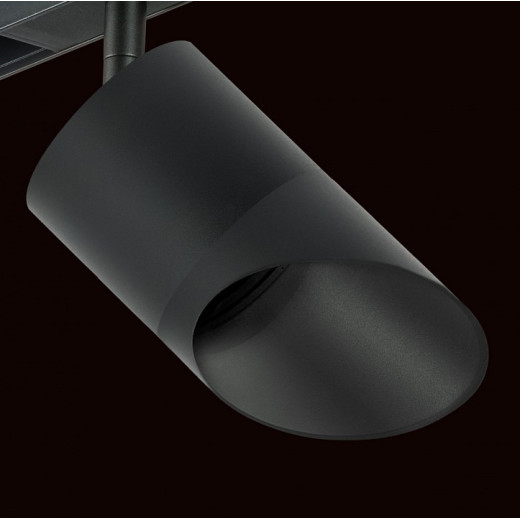 Светильник на штанге Lightstar Rullo PRO348787