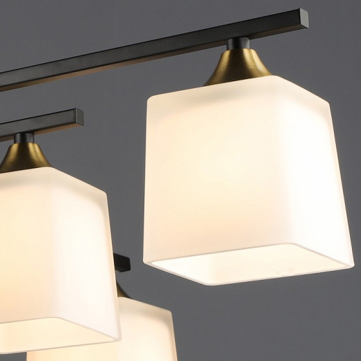 Люстра на штанге 06668-0.3-08 BK+COP