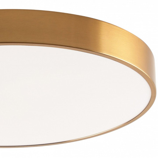 Накладной светильник Zortes Tortty ZRS.02566.96