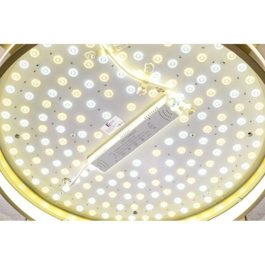 Накладной светильник Zortes Gerda ZRS.1097.60