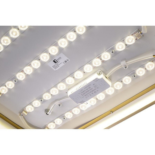 Накладной светильник Zortes Monna ZRS.1209.03