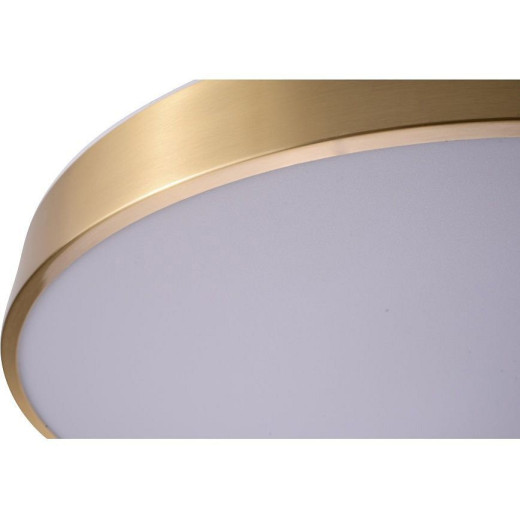 Накладной светильник Zortes Monna ZRS.1209.12