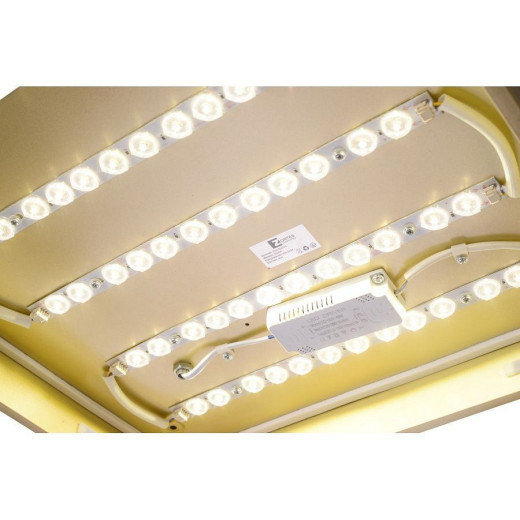 Накладной светильник Zortes Gabby ZRS.1215.03