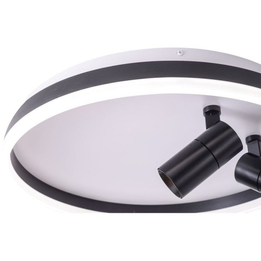 Накладной светильник Zortes Raizy ZRS.1888.01