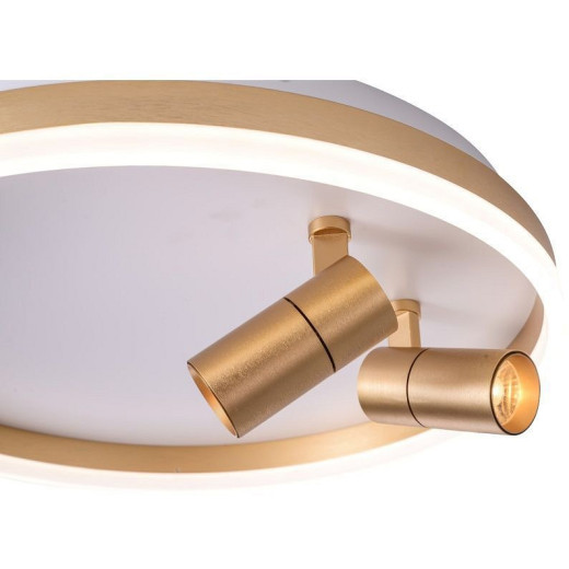 Накладной светильник Zortes Raizy ZRS.1888.02