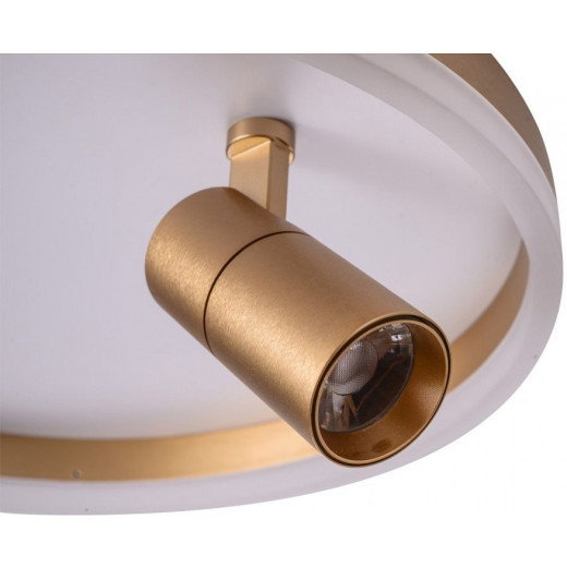 Накладной светильник Zortes Raizy ZRS.1888.04