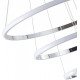 Подвесной светильник Zortes Ringolight ZRS.33321.120C