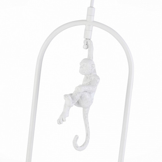 Подвесной светильник EVOLUCE Tenato SLE115123-01