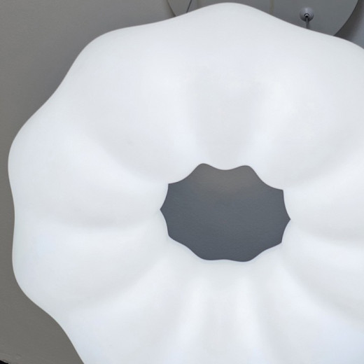 Подвесной светильник Zortes Soft ZRS.1119.01