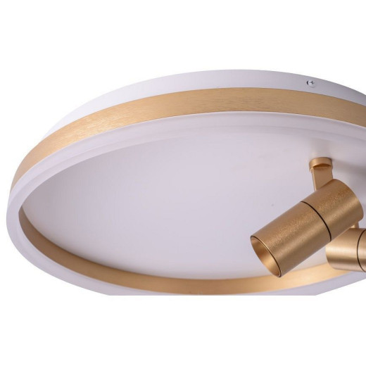 Накладной светильник Zortes Raizy ZRS.1888.02