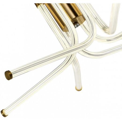 Потолочная люстра Zortes Lora ZRS.57784.06