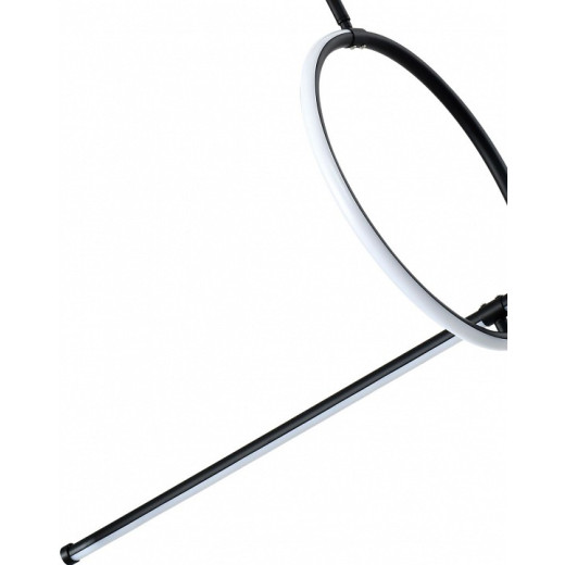 Светильник на штанге Zortes Dasy ZRS.57787.49